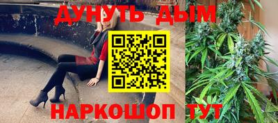 прущие грибы Моздок