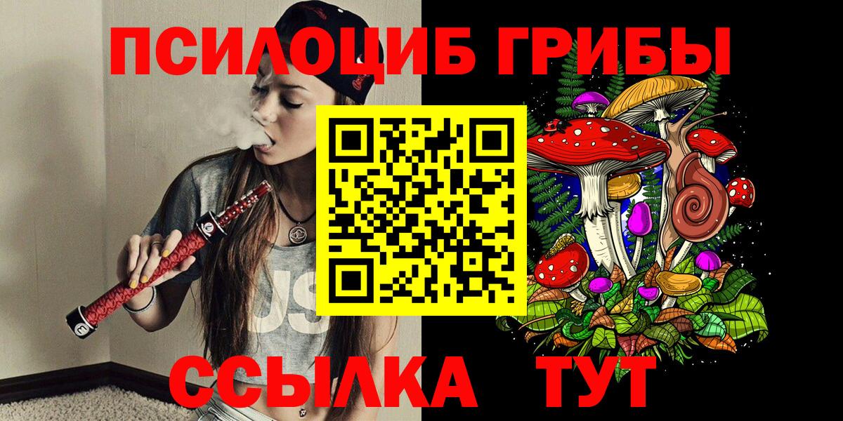 Галлюциногенные грибы GOLDEN TEACHER  Вход с VPN  Фрязино 